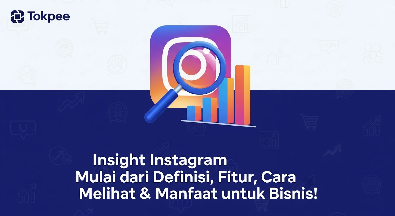 Insight Instagram