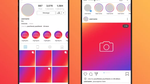Bio IG Aesthetic